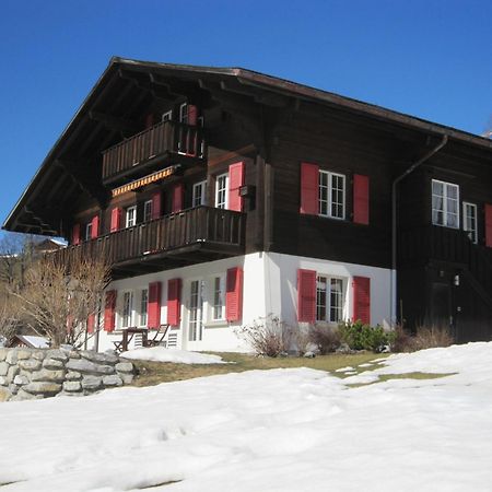 Chalet Aiiny Grindelwald Luaran gambar