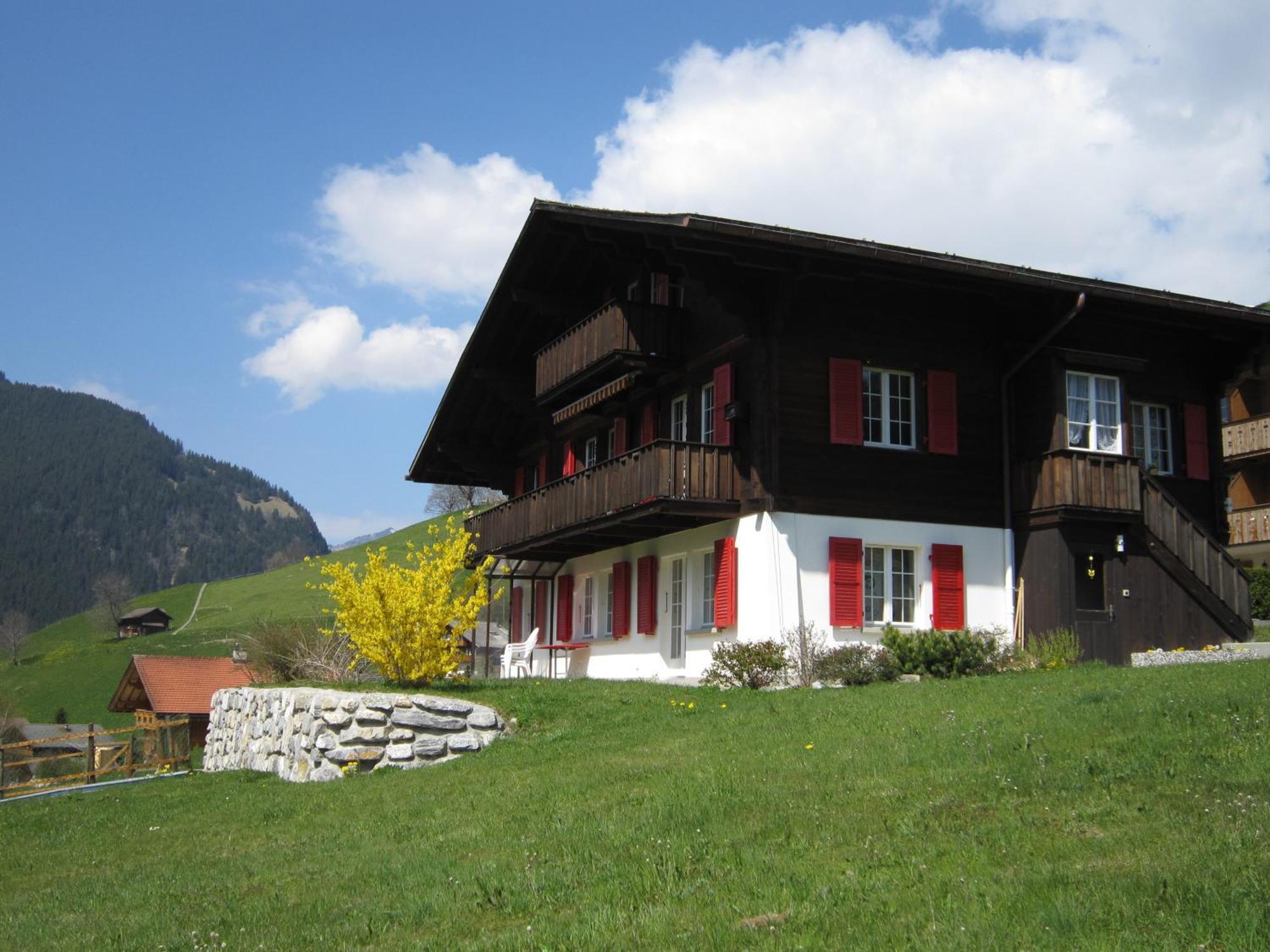 Chalet Aiiny Grindelwald Luaran gambar